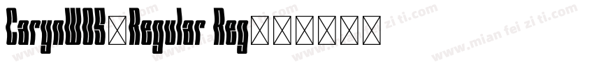 CarynW05-Regular Reg字体转换